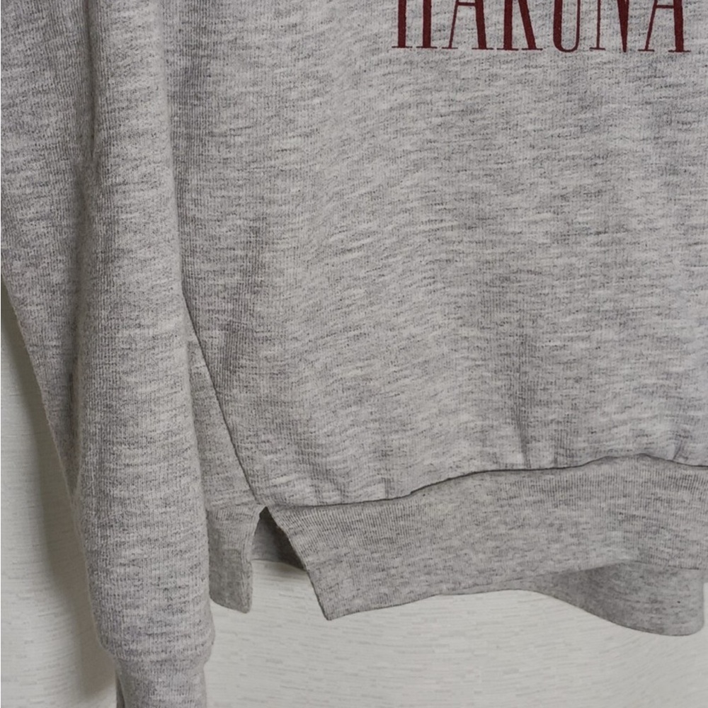 Disney Gray Sweatshirt with Hoodie Hakuna Matata Size M NWOT - Picture 4 of 7